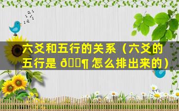 六爻和五行的关系（六爻的五行是 🐶 怎么排出来的）